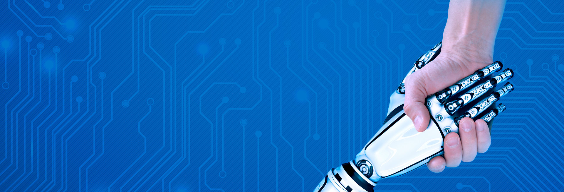 A full range of IT services for business